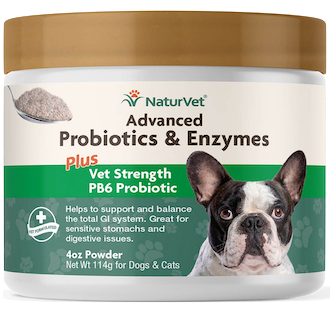 Advanced Probiotics and Enzymes-Powder