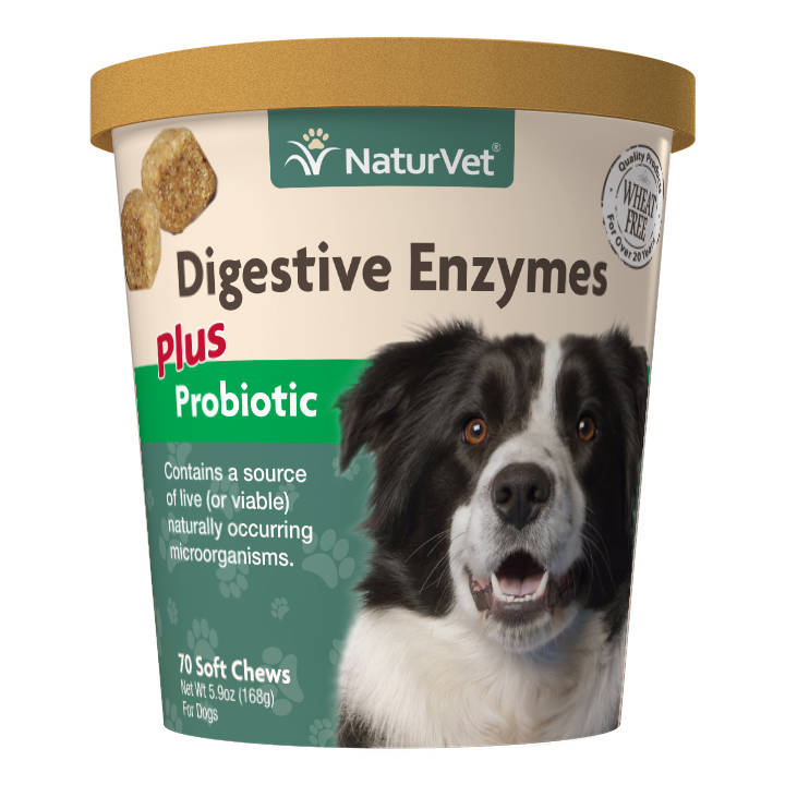 Digestive Enzymes plus Probiotic