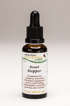 Pets Scoot Stopper